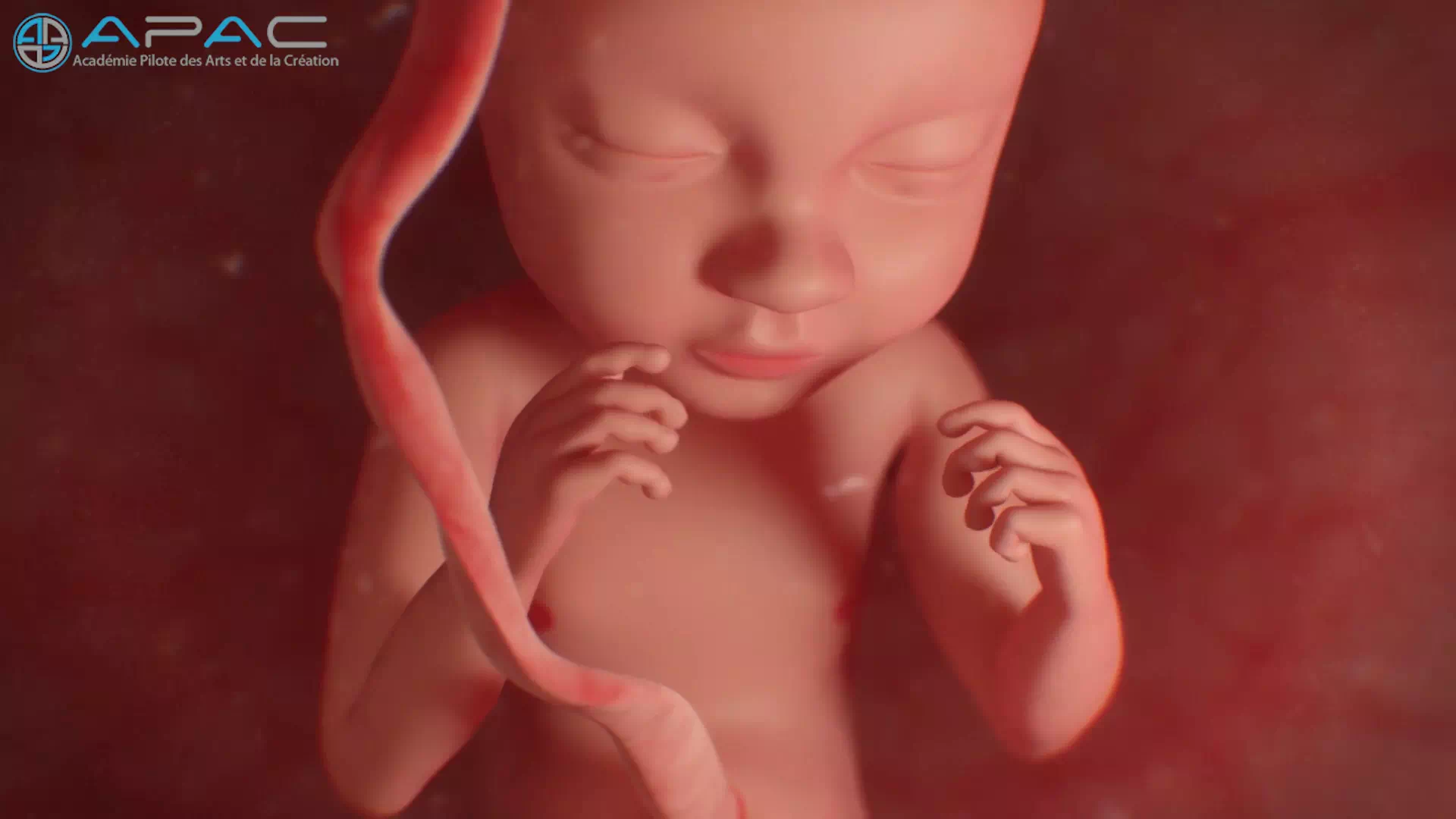 Leila Ben Saad - PHILANTHROPIE